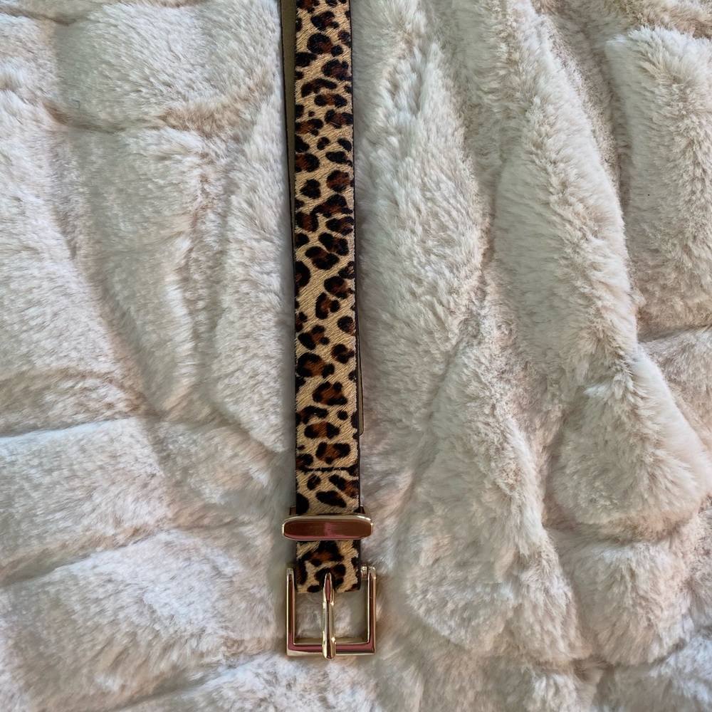 CHEETAH thin belt (gold buckle)